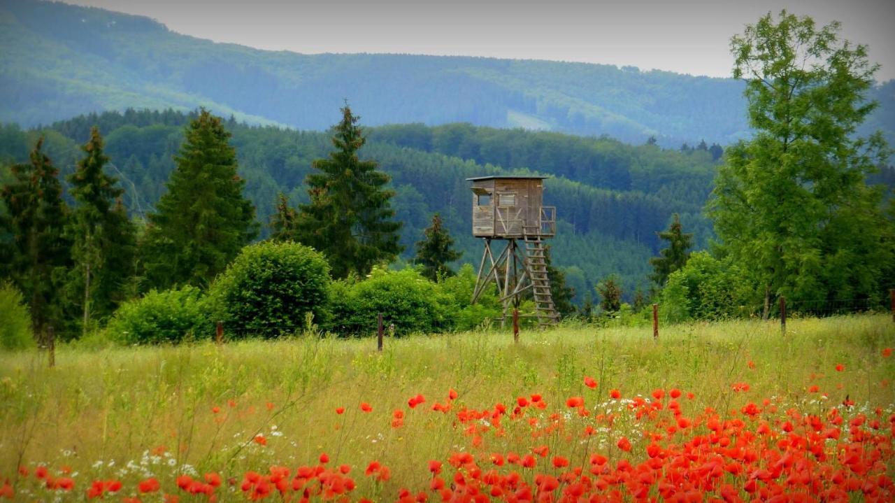 Ferienwohnung Warstein Eksteriør billede